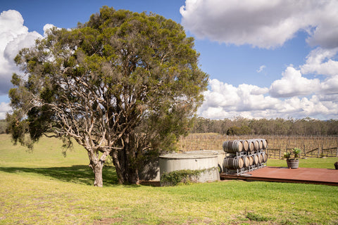 Your Guide to Visiting Our Hunter Valley Vineyard